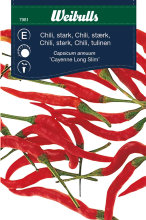 Chilipeber, stærk 'Cayenne Long Slim'